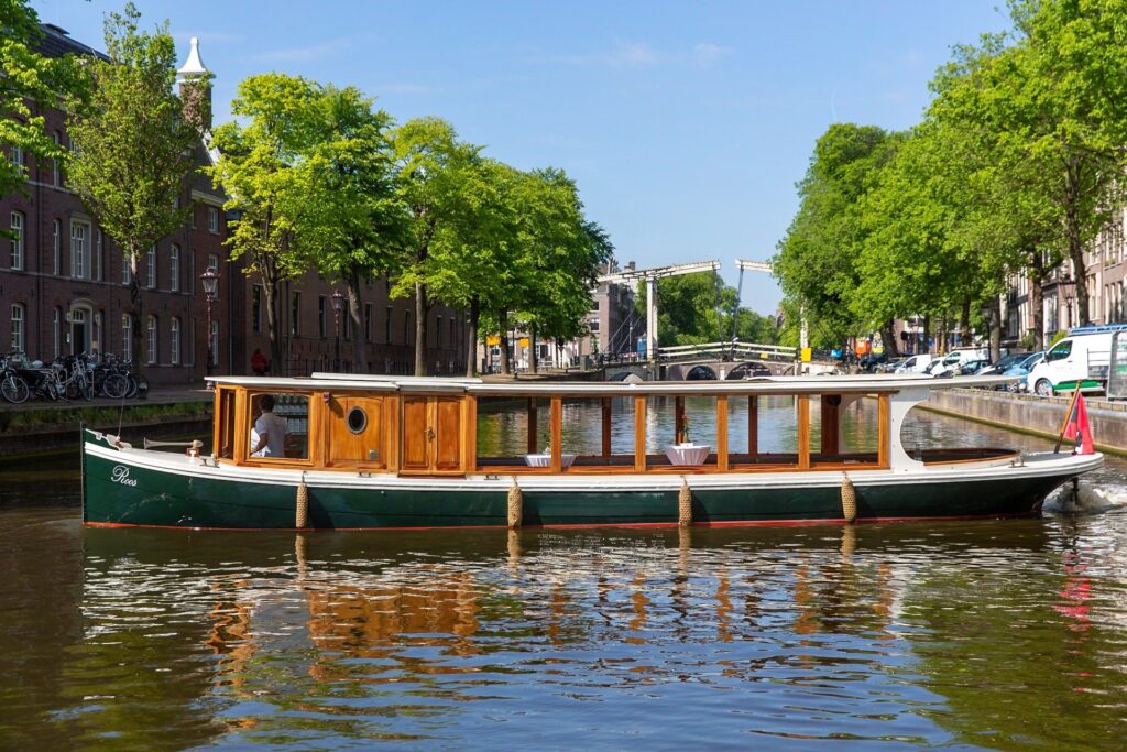 Roos in Amsterdamse gracht