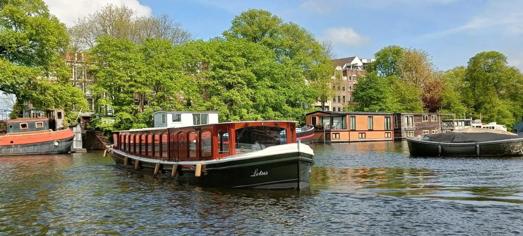 Lotus on Nieuwe Vaart